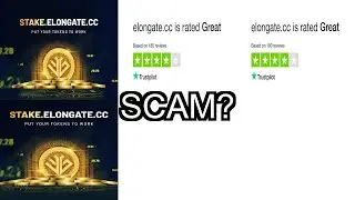 is elongate cc scam