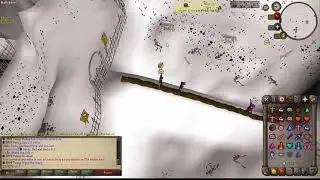 Weird Wilderness Agility Course Bug