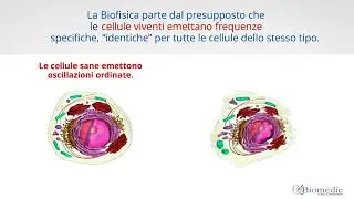 MEDICINA ENERGETICA- BIORISONANZA- SCIO QUANTUM