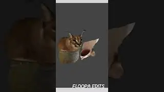 #floopa #1ksubs #pelmeny Что я сделал:/ И только спустя полтора часа... #floopa
