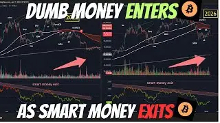 Dumb Money Enters Bitcoin as Smart Money (Secretly) Exits #bitcoin #btc #crypto #trading