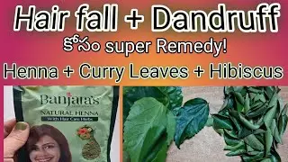 How to use Henna // Hair fall and Dandruff control this remedy// కరివేపాకు+ మందారంఆకు+ హెన్న+మెంతులు