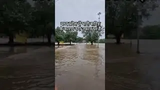 Heavy rainfall in madhya pradesh in past few hours #madhyapradesh #rain  #sawan #mahakal #mahadev