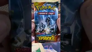 Pokemon Surging Sparks Dugtrio #dugtrio #surgingsparks #rarecardpull #collectiblecards #pokemon #tcg