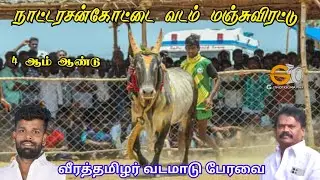 நேரலை நாட்டரசன்கோட்டை வடம் மஞ்சுவிரட்டு திருவிழா