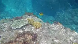 串本　灯台前　⑥