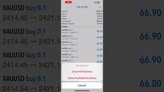 Account management   Mt5 details send me