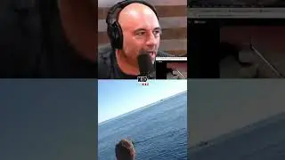 Joe Rogan Reacts to Viral 18Ft White Shark🦈