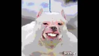 human dog hybrid!!!!!