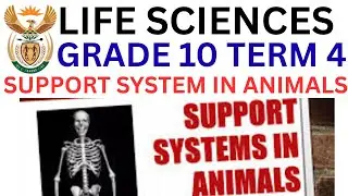 Life Sciences Grade 10 Support System in animals Term 4 Paper 1 Preparations