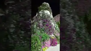 Decorated Arches @ Miracle Garden of Dubai