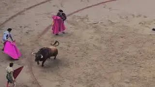 Day 1 Bull Fights during The Running of the Bulls Pamplona Spain 2024