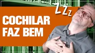 Os benefícios do cochilo para sua vida.