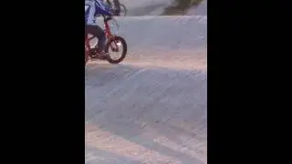 Olibear at the track