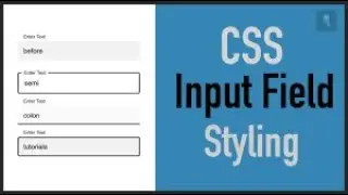 Create a simple Custom Input Field in CSS, HTML