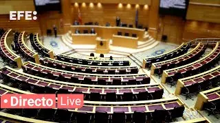 🔴📡 Sesión de control al Gobierno en el Senado