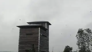 mencoba rbw dari kayu semua