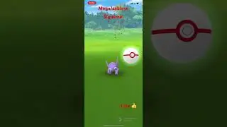 Mega Sableye Pok&eacute;mon go, raid  #arlye07