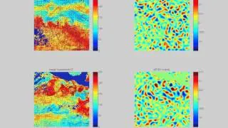Weighted Ensemble Kalman Filtering image assimilation of sea surface temperature