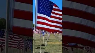 Experience 1,000 American flags at Plano Flags of Honor
