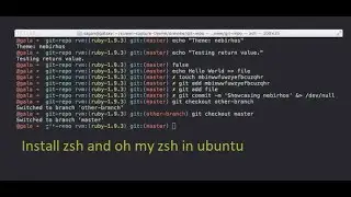 how to download zsh and oh my zsh i ubuntu