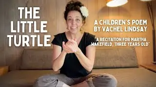 The Little Turtle