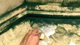 Removing crusty lichen with acid ++