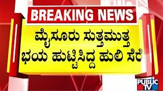 Forest Department Officials Caputre A Tiger In Mysuru | Public TV
