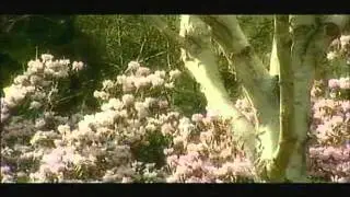 A garden in the heart of the city - Vandusen Garden