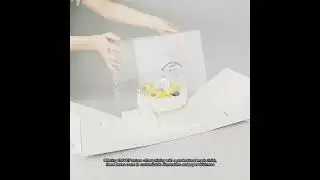 AI CDR or PDF Design Requirement Our Customizable Cake Packaging Boxes Have You Covered