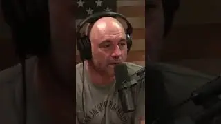 Wolves of Siberia Unleashing the Ultimate Super Pack #shorts 3#joerogan #jreclips
