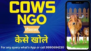Cows Ngo Setup Process in India Step by Step