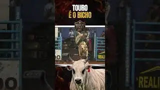 TOURO &Eacute; O BICHO 🔥  #pbr #rodeio #barretos #bullriding ##cowboy #cavalo #rodeo #rodeiobrasileiro