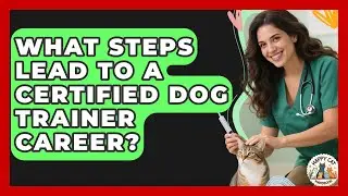 What Steps Lead To A Certified Dog Trainer Career? - Animal Care Jobs