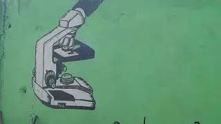 MAQ00006