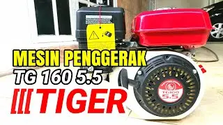 MESIN GX 160 PROQUIP TIGER 5.5HP #mesin