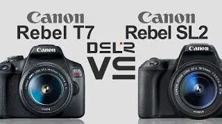 Canon EOS Rebel T7 (2000D/1500D/Kiss X90) vs Canon EOS Rebel SL2 (200D/Kiss X9)