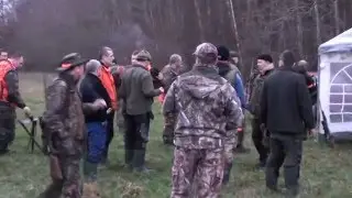 Driven hunt, Poland, HUNTINGPOL,  