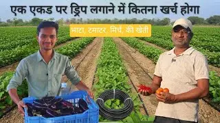 8 एकड़ में सब्जी 🍅🌶️🍆 खेती से कमाई कितनी होती है + ड्रिप लगवाने में एकड़ में कितना लगता है ?📈