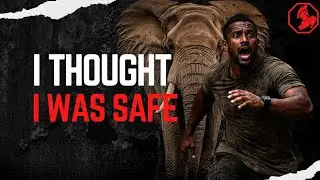 An Elephant Charged Me &mdash; And I Finally Understood Power