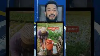 मदरसे में पढ़ने वाले लोगों का दिमाग #madarsa #hafiz #vairalvideo #vairalshort #shortsfeed #shots