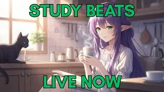 LIVE  Focus Stream – Chill Lofi Beats for ADHD Study, Work & Deep Concentration