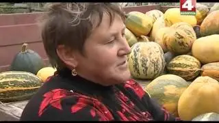 История с географией: Михеевка, Дрибинский район, Могилевская область