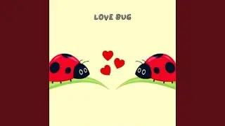 Love Bug