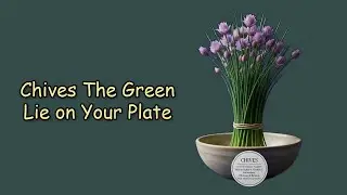 Chives: The Green Lie on Your Plate