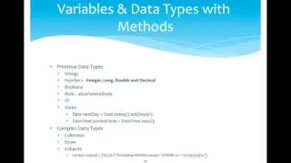 6.SF DEVELOPER - Variables & Data Types