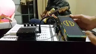 Digitech Metal Master and Dunlop Cry Baby (Dimebag) on Rooster by AIC