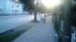 Devojkata so tocakot