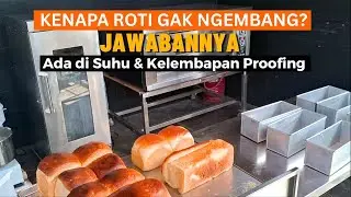 Proofing Roti & Donat Gak Bisa Sembarangan! Ini Kenapa Bread Proofer REVON Wajib Punya