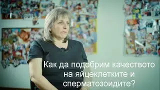 Д-р Гинка Ганева отговаря: Как да подобрим качеството на яйцеклетките...